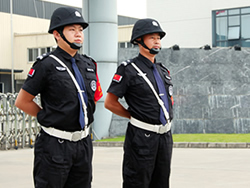 民營企業(yè)保安服務(wù)